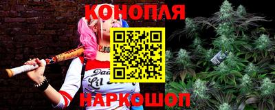 индика Рузаевка