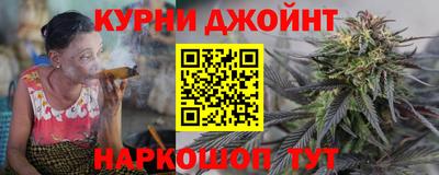 индика Рузаевка