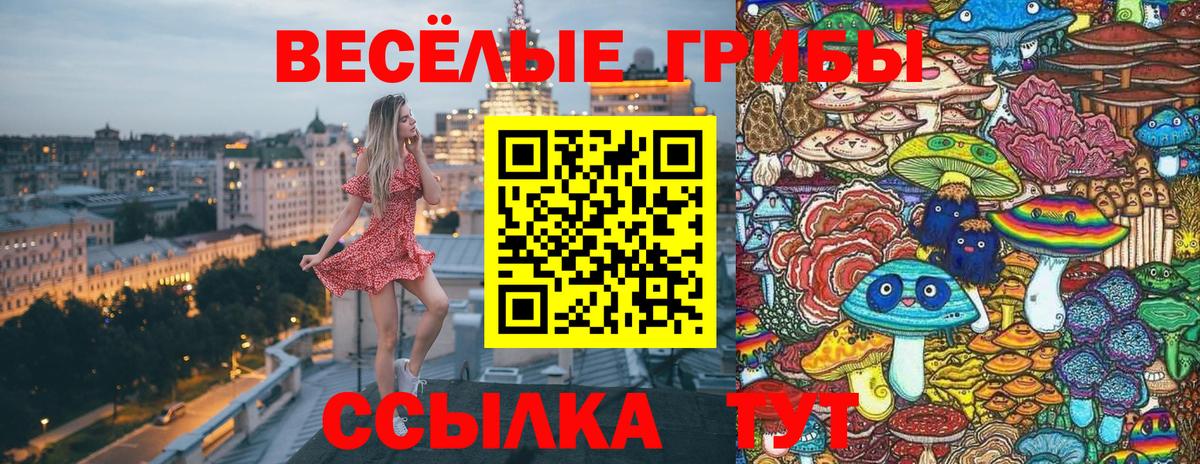 Сарапул  Псилоцибиновые грибы GOLDEN TEACHER  как найти закладки  Вход с VPN 